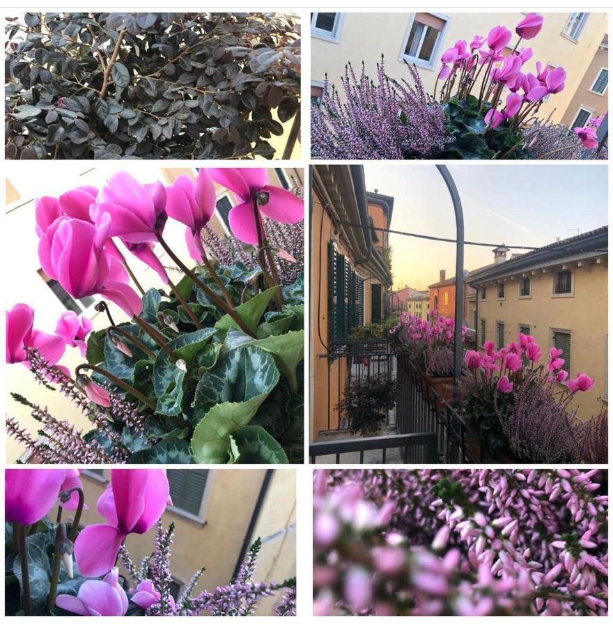 Veronantica B&B 외부 사진
